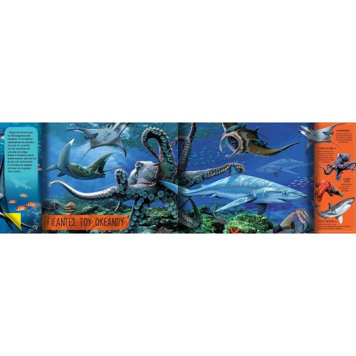 susaeta Amazing World: Sea Animals 2609 9786182241554