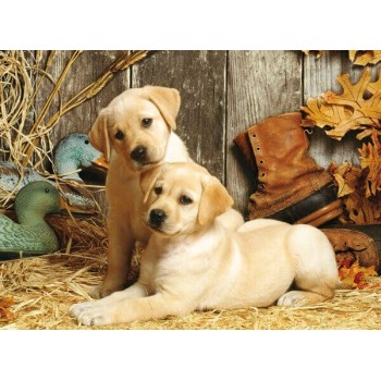 Clementoni Puzzle High Quality Collection Hounds 1500 Pcs 1220-31976 8005125319763