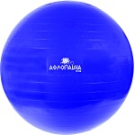 ΑΘΛΟΠΑΙΔΙΑ μπάλα για πιλάτες 65εκ 005.80018 9985776001011