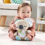 Mattel Fisher-price On-the-go Koala Soother Toy, Plush Portable Sound Machine for Newborns JBD65 194735257997