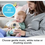 Mattel Fisher-price On-the-go Koala Soother Toy, Plush Portable Sound Machine for Newborns JBD65 194735257997