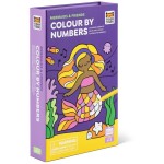 tiger tribe Activity SET - Color by Numbers AND Friends 20203 9341736100987