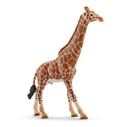 Schleich Καμηλοπάρδαλη Αρσενική 14749 4005086147492