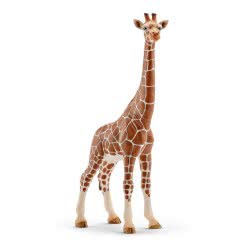 Schleich Καμηλοπάρδαλη Θηλυκή 14750 4005086147508