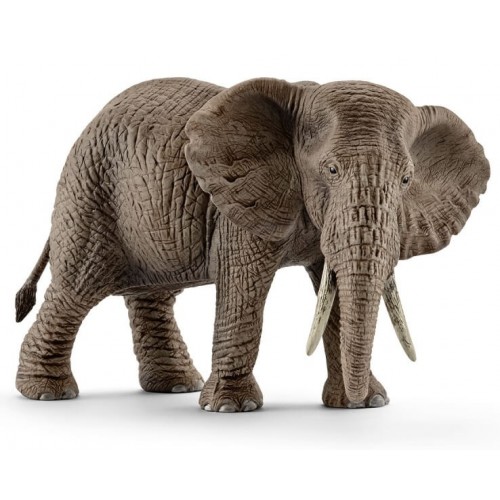Schleich Ελέφαντας Αφρικανικός Θηλυκός 14761 4005086147614