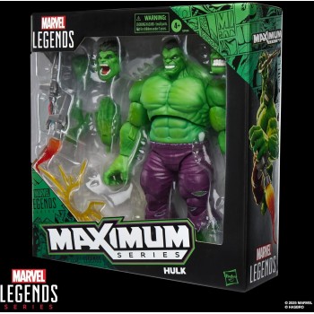 Hasbro Marvel Avengers marvel legends  series hulk action figure G0596 5010996290243