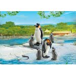 Playmobil Οικογένεια Αυτοκρατορικών Πιγκουίνων 6649 4008789066497