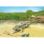 Playmobil Αλιγάτορας Με Τα Μωρά Του 6644 4008789066442