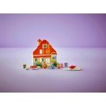 LEGO Blueys Family House With Memory Game 10459 5702017816746