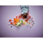 LEGO Bluey Το Σπίτι Της Οικογένειας Μπλούι Με Παιχνίδι Μνήμης 10459 5702017816746