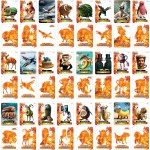 As company Italian Brainrot Lamnicard Collective Cards for 3+ 1013-00596 8056126060000