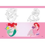 Diakakis imports Disney Princess Τετράδιο Καρφίτσα 17Χ25 PRINCESS 40Φ 2ΣΧ - 1 Τμχ 000564980 5205698747625