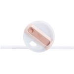 Stanley 1913 Quencher H2.O Flowstate Tumbler | 0.59L Rose Quartz 2.0  10826-303 1210001997448