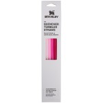 Stanley 1913 The quencher straws for 30oz tumblers pink multi pack καλαμακια 03001-041 1210001947368