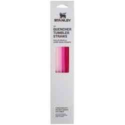 Stanley 1913 Quencher H2.0 Flowstate Tumbler Straws | 0.89L Pink Multi Pack  03001-041 1210001947368