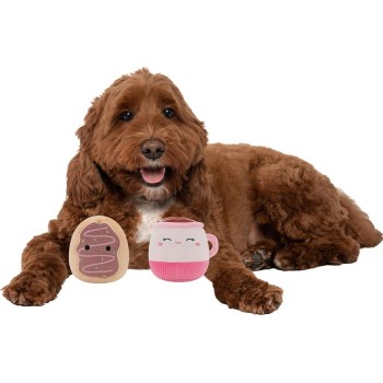 Jazwares Squishmallows Pets - Cafe Play Dog With Sound (2Pcs Set) JWP00298 191726514473