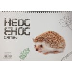 A&G PAPER Μπλοκ Σπιράλ Ζωγραφικής Α4 40 Φύλλων 21X29 Εκ. 36356 5205616801941