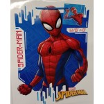 Group Operation Disney Glossy Gift Paper Bag Medium TGD-30 5902814355909