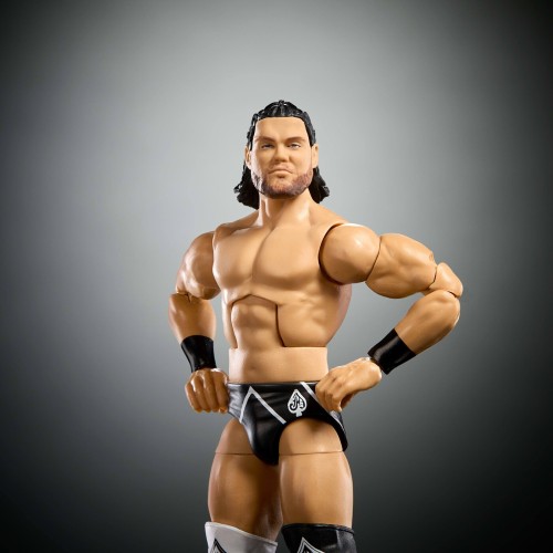 Mattel wwe live event elite φιγουρες wwe survivor series jd mcdonagh HVF76 / JCJ60 194735271856