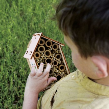 Lisciani Beekeeping Laboratory 09.110292 8008324115532