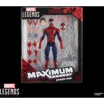 Hasbro Spiderman Marvel Legends Maximum Series Spider-Man Φιγούρα Δράσης G0594 5010996294951