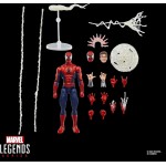 Hasbro Spiderman Marvel Legends Maximum Series Spider-Man Φιγούρα Δράσης G0594 5010996294951