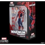 Hasbro Spiderman Marvel Legends Maximum Series Spider-Man Φιγούρα Δράσης G0594 5010996294951