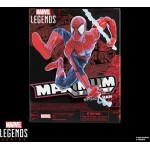 Hasbro Spiderman Marvel Legends Maximum Series Spider-Man Φιγούρα Δράσης G0594 5010996294951
