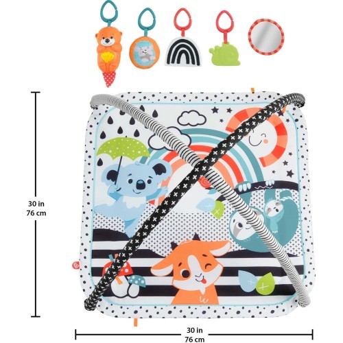 Mattel Fisher-price 3-in-1 Music Glow & Grow Gym, Baby Playmat With Lights & Newborn Sensory Toys JMN72 194735382279