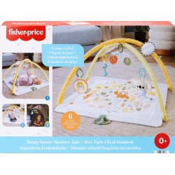 Mattel fisher-price γυμναστήριο - οι πρωτες του αισθησεις JMN74 194735382286