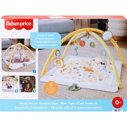 Mattel Fisher-price Simply Senses Newborn Gym Baby Activity Mat With 6 Sensory Toys JMN74 194735382286