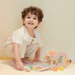 Classic World Wooden Hedgehog With Activities and Xylophone C20137 6927049021374