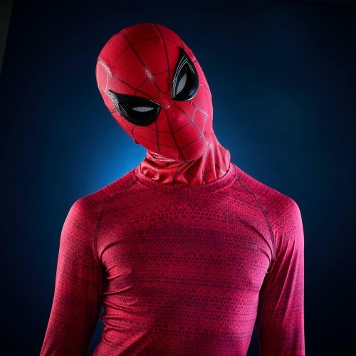 Hasbro Spiderman legends series spider-man electronic expressive mask G0633 5010996313188