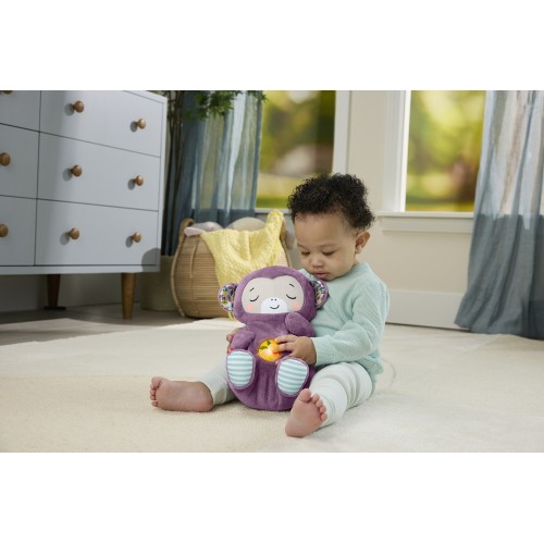 Mattel Fisher-Price Μαϊμουδακι Αγκαλιας Με Κινηση Αναπνοης Και Μουσικη JLH41 194735364251