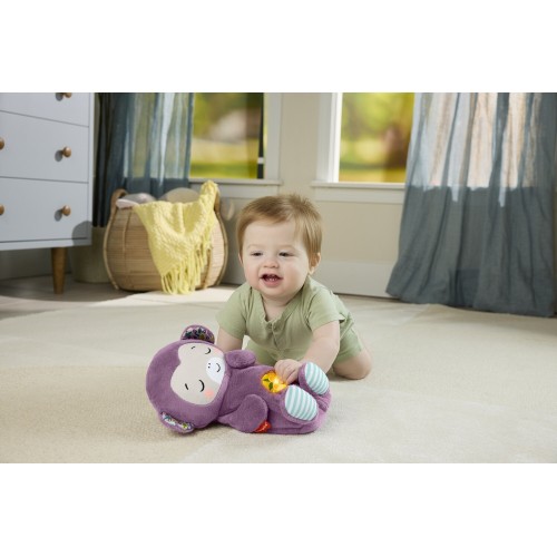 Mattel Fisher-Price Μαϊμουδακι Αγκαλιας Με Κινηση Αναπνοης Και Μουσικη JLH41 194735364251