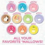 Horizon Group USA Squishmallows Original Ultimate Slime Mixins, Σετ 10 Slime, Glitter And Cloud Slime HG224698 194356246981