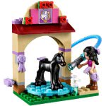LEGO Friends Foal `S Washing Station 41123 5702015592420