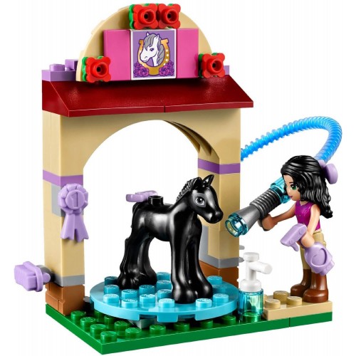 LEGO Friends Foal `S Washing Station 41123 5702015592420