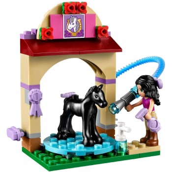 LEGO Friends Foal `S Washing Station 41123 5702015592420