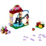 LEGO Friends Foal `S Washing Station 41123 5702015592420