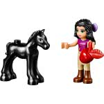 LEGO Friends Foal `S Washing Station 41123 5702015592420