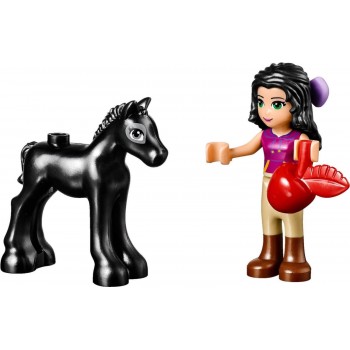 LEGO Friends Foal `S Washing Station 41123 5702015592420