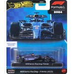 Mattel hot wheels hw συλλεκτική αυτοκινητακια f1 hw rc tm williams HRV11 / JBM15 194735263929