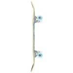 ΑΘΛΟΠΑΙΔΙΑ Industries wet Willy Icon Complete Skateboard 7.25 - Colorful 47.020102999A7250 5056544401877