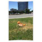 Nintendo Pokemon Go Plus 045496395216 045496395216