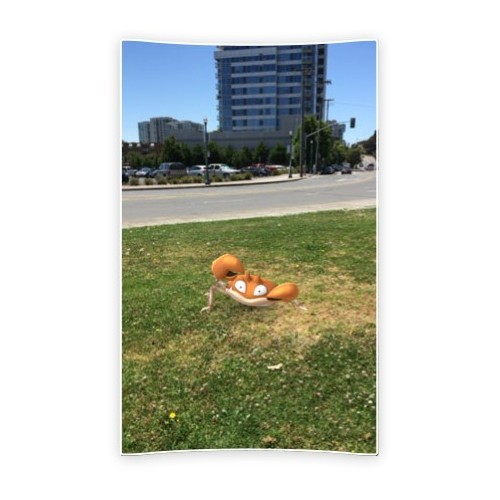 Nintendo Pokemon Go Plus 045496395216 045496395216