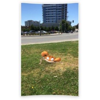 Nintendo Pokemon Go Plus 045496395216 045496395216