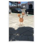 Nintendo Pokemon Go Plus 045496395216 045496395216