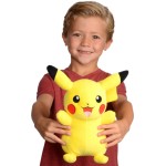 Pokemon Plush Wave 15 (3 Designs) 30cm - Jazwares Pikachu 1 (pkw4467, JW095257-W15 191726781097