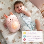 Hape Early Melodies Μουσικό Φωτονανούρισμα Huggy Roro E0114A 6943478037380